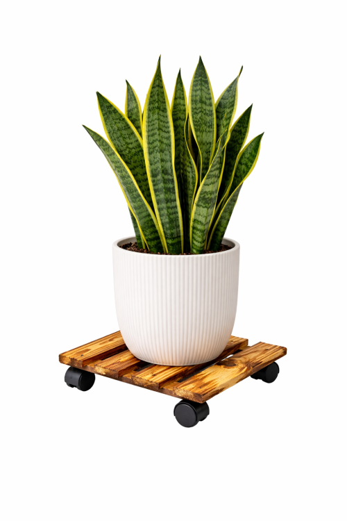 Podstawka-drewniana-na-kwiaty-opalana-kwadrat-3011F