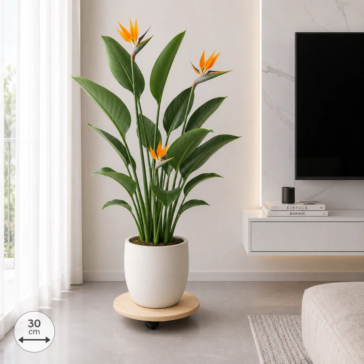 podstawka-mobilna-pod-kiwaty-3031