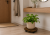 67f406af-87b3-4eb3-94dd-614f0d303dba.png