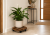 d9086498-7403-47c8-90d1-f52e260ef1c4.png