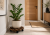 1dc6f5c5-2d10-4753-ba1d-fed65dbc5126.png