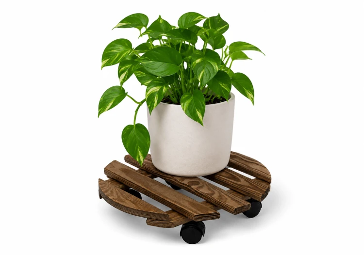 4cfe000e-ec30-42e9-bc3b-041098681768.png