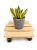 90c3e39c-60e5-4ff8-8d35-9ae5227a43c5.png